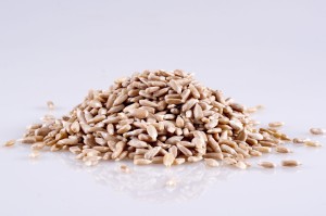 Słonecznik łuskany na wagę